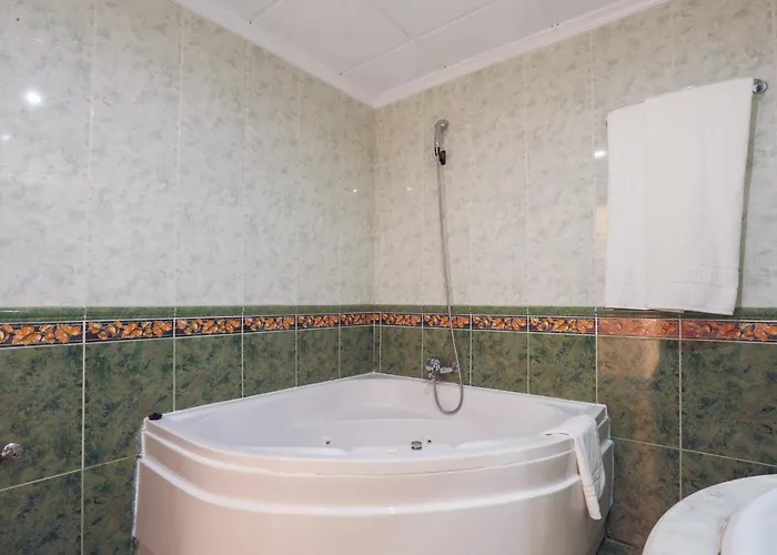 酒店 图托酒店 托雷维耶哈